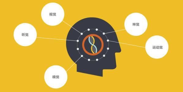 麻醉剂恐致失忆和认知受损