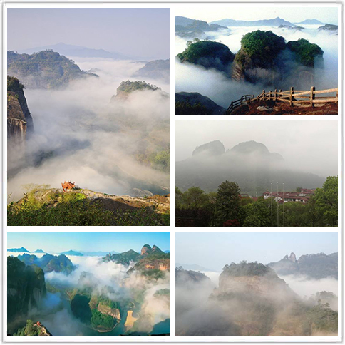 产地认证 诠释凤凰茶业密云龙纯正岩韵