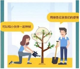 蚂蚁森林合种树怎么获取能量?只能浇水吗?