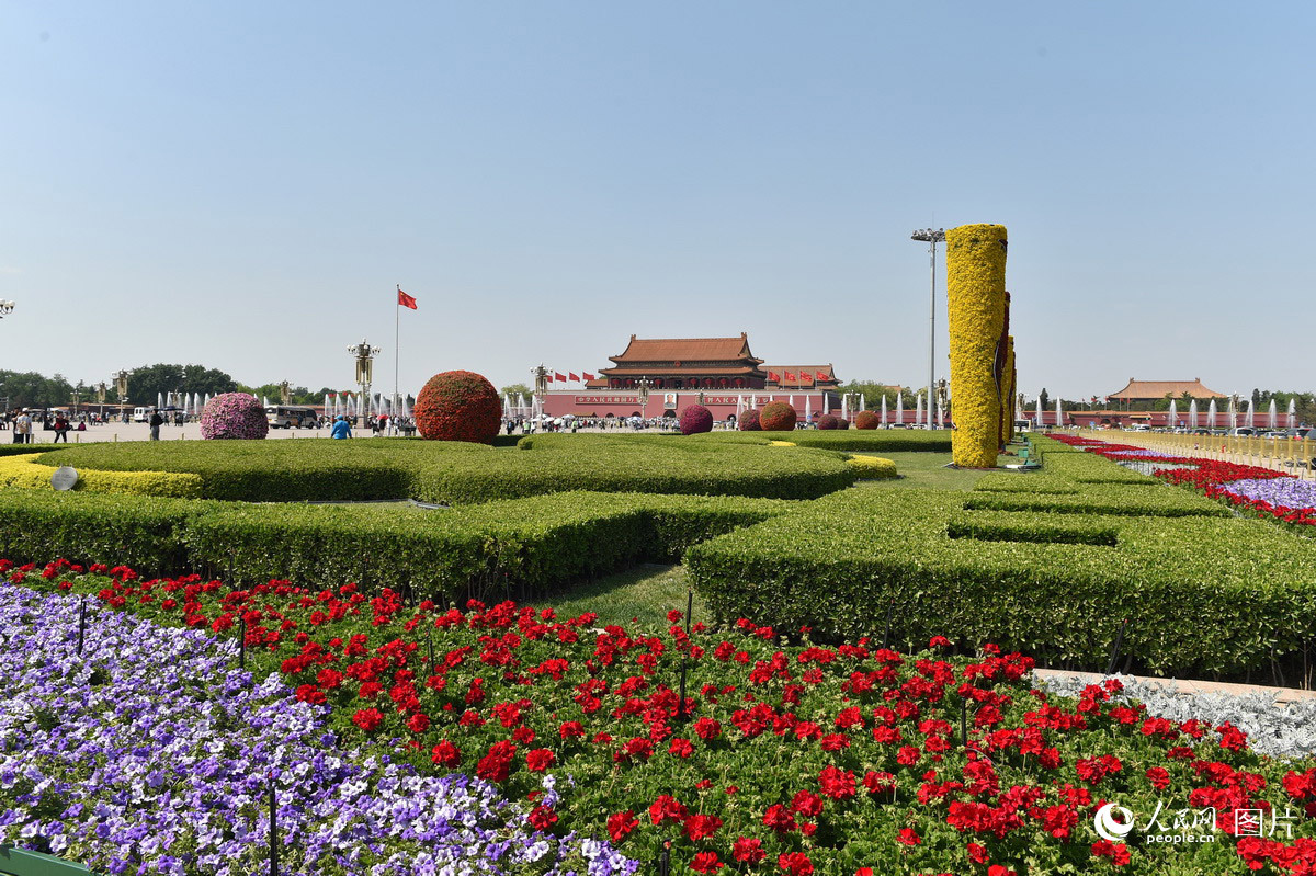 北京天安门广场装扮一新 花团锦簇喜迎“五一” 北京天安门广场装扮一新 花团锦簇喜迎“五一”