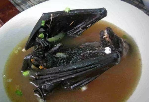 世上7种奇葩的食物,吃过3种以上的是牛人,全吃过的高级吃货!