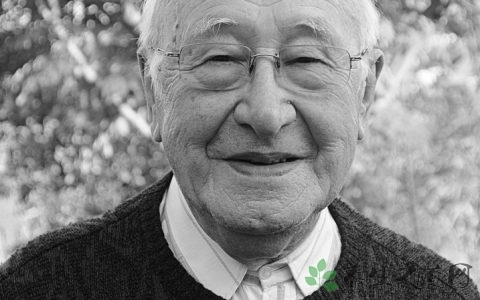 糖尿病吃什么药降糖效果好