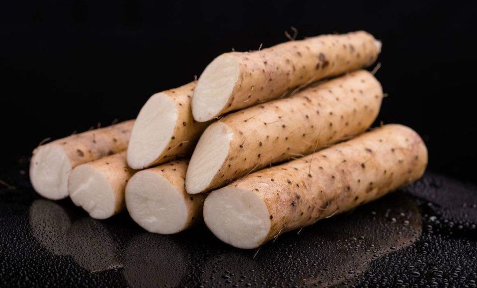 山药不要再蒸着吃了,试试这种新做法,大人孩子