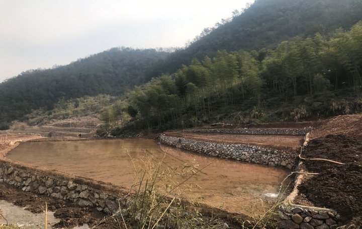 一季度投放139亿! 浙江农发行信贷业务高质量发展