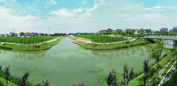 诗意沪乡 | 宝山塘湾村:河道纵横绿水依，鱼肥蟹美稻米香