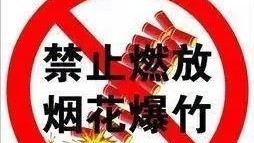 “仙女棒”等冷烟花也是烟花爆竹 同样禁放 “仙女棒”等冷烟花也是烟花爆竹 同样禁放