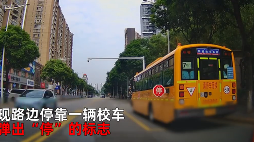 礼让校车却遭后方多车鸣笛超行  热评：是法律规定，也是道德要求