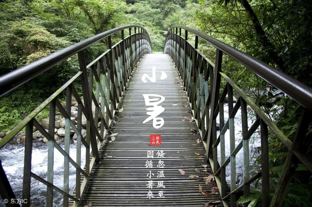 小暑后,祛湿排毒正当时,喝2杯茶,全年湿气跑出