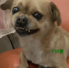 229_228gif 动态图 动图