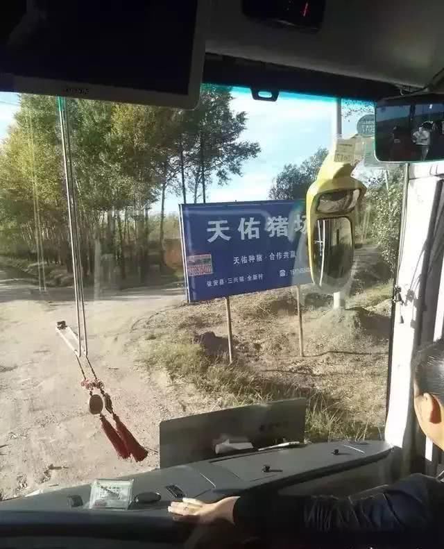 搞笑GIF:美女学跳网络神曲,放下菜刀的一瞬间