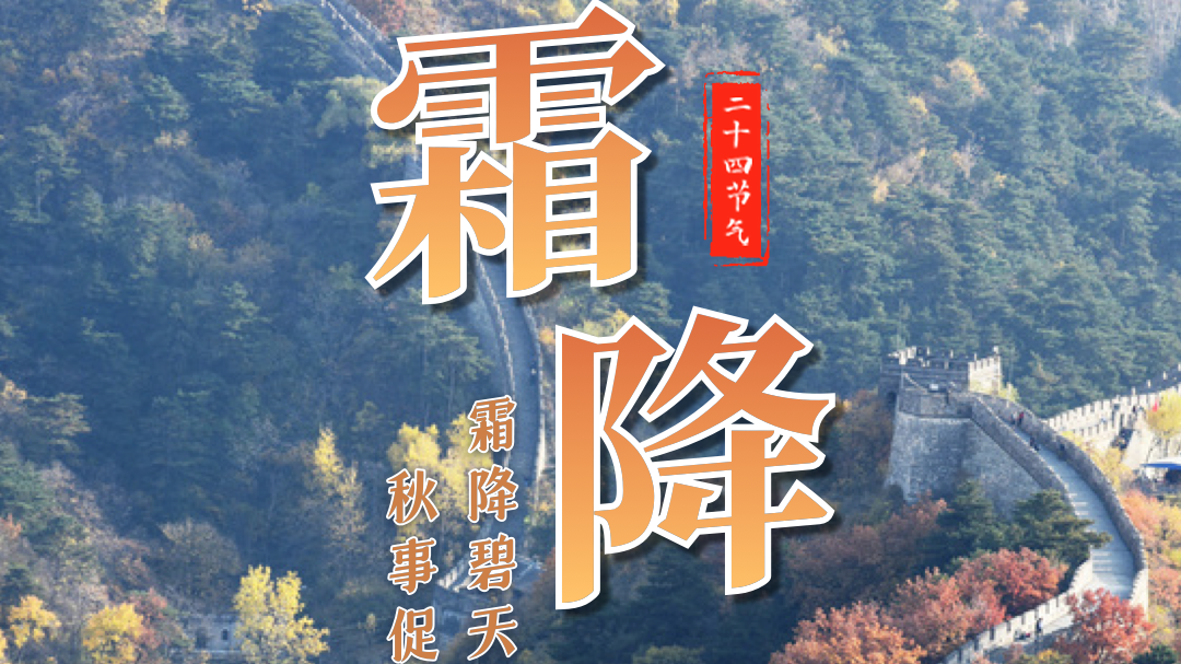 今日霜降 | 秋风萧瑟天气凉，草木摇落露为霜