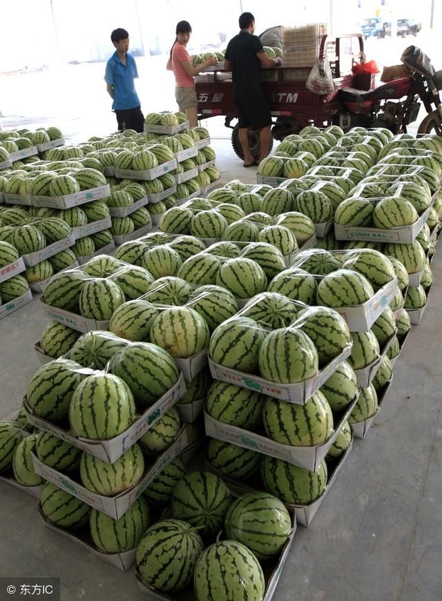 推进农产品批发市场公益性建设的政策建议