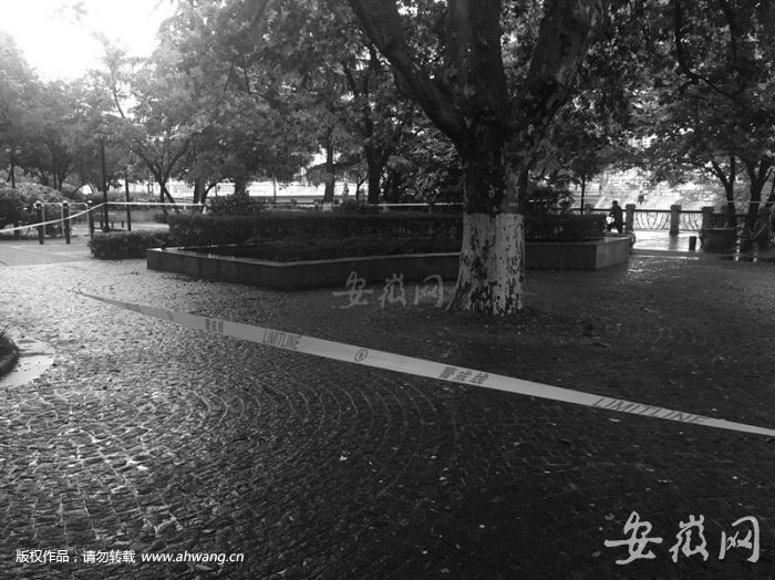 女子身中刀伤死亡 凌晨合肥闹市街头呼救