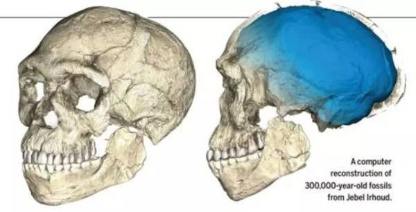2017 年度盘点 十大科学突破与十大科学事件