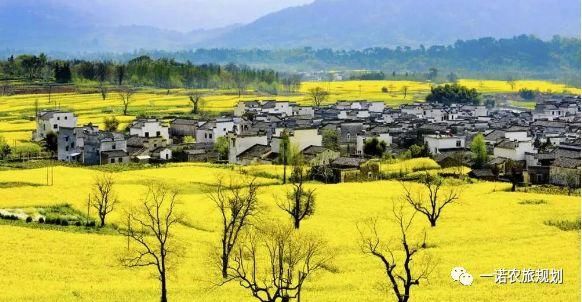 关于地方乡村振兴战略实施的思考,50条政策将