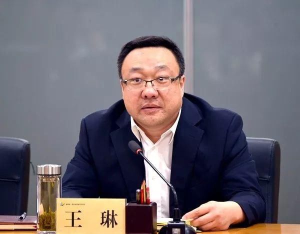 市委常委王琳兼任经开区,航空基地党工委书记