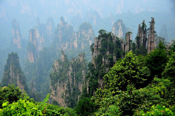 张家界开心旅游,感谢导游|下次来还找你!