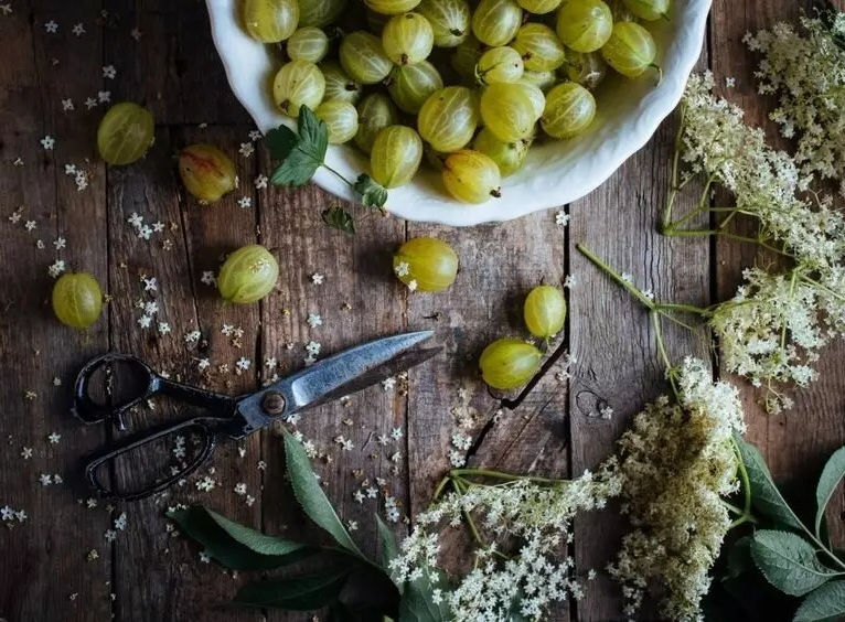 见过吗?这些水果吃过5种是土豪 10种以上是贵族 见过吗?这些水果吃过5种是土豪 10种以上是贵族