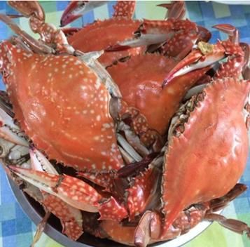 你绝对想不到,原来青岛本地人吃海鲜这么简单