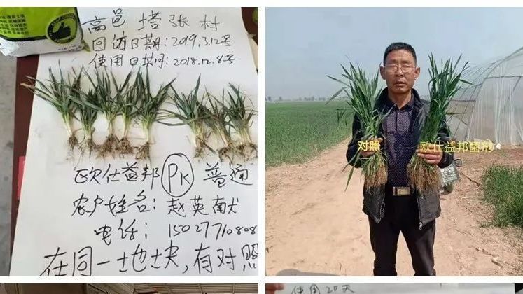 高端肥领域黑马，传授杀手锏：操作越简单，农民越喜欢！