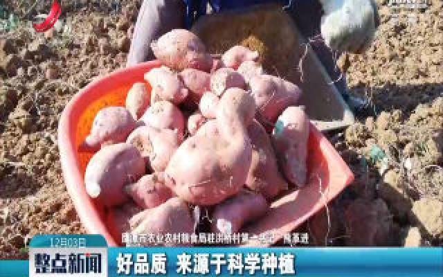 【第一书记晒丰收】余江区洪桥村：熊革进卖红薯 为贫困户增收