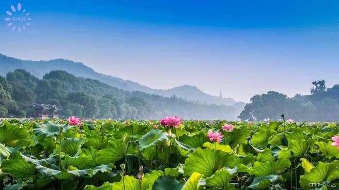 浙江十大免费景点, 第二名居然是它!