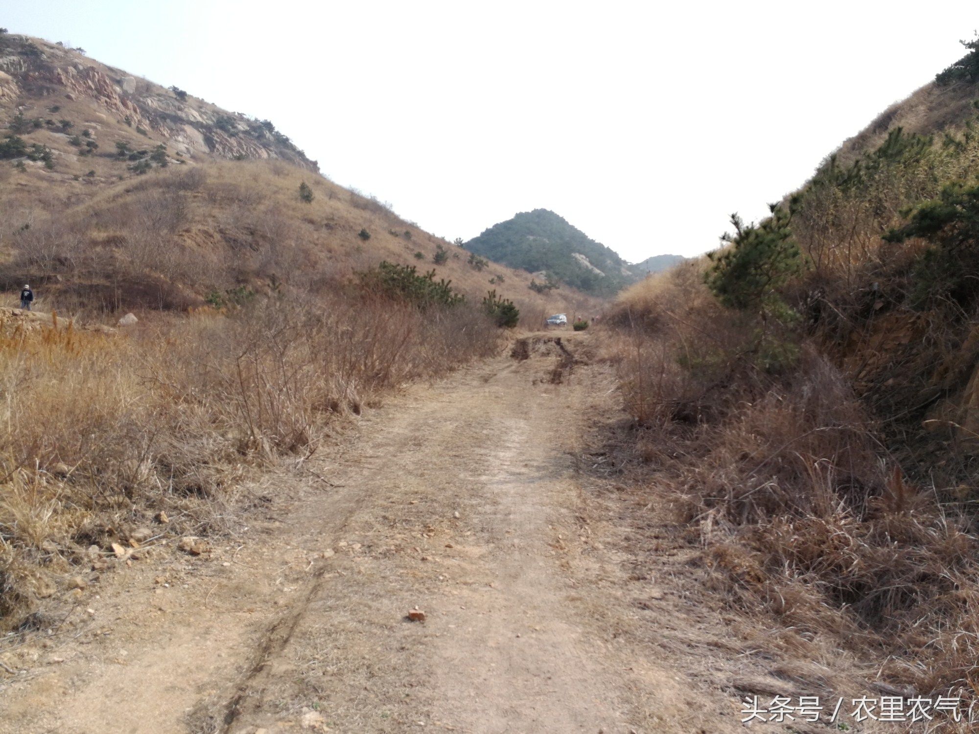 沿着崎岖不平的山路慢慢前行,车子开到了山谷里.