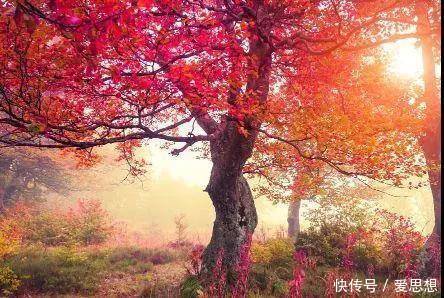 非常经典的句子 喝醉了才知道你最爱谁 ,生病了