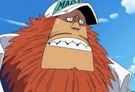 海贼王:d之一族的秘密