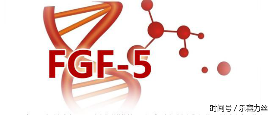 治愈脱发重大突破,日本科学家发现超强生发酶