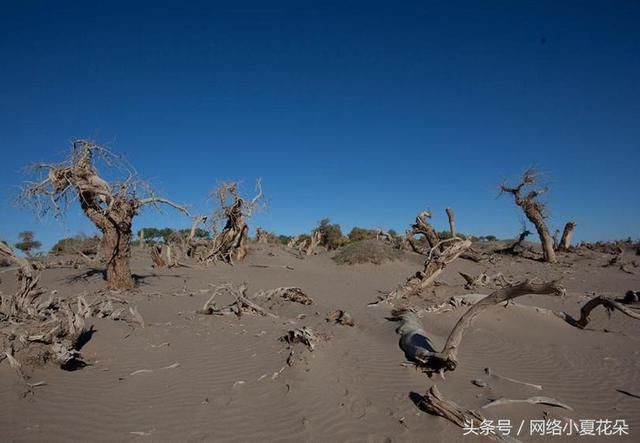 中国最孤寂的沙漠公路,1000公里渺无人烟,你敢