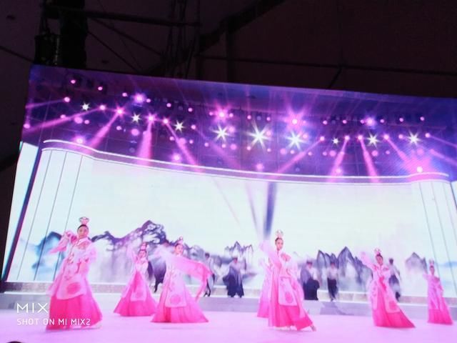 董廷超老师受邀参加CETV2018泼墨中华情大