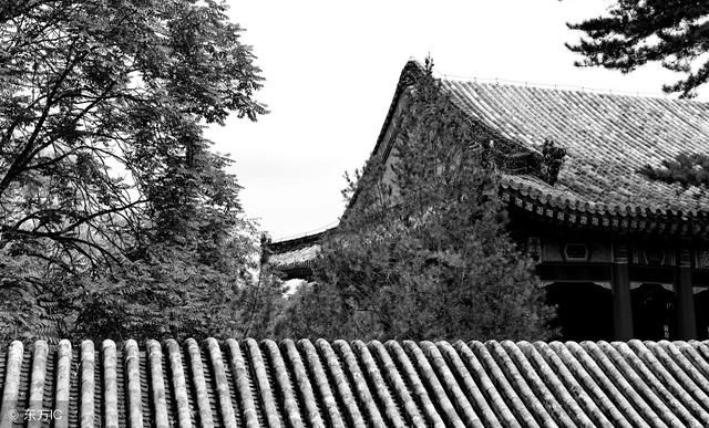 道光皇帝最宠爱的妃子,她的子孙后代也成了皇帝