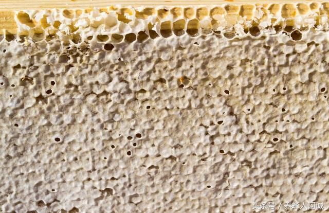 什么是封盖成熟蜜?