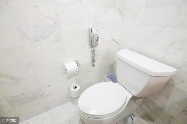 卫生间地漏里的小飞虫如何处理