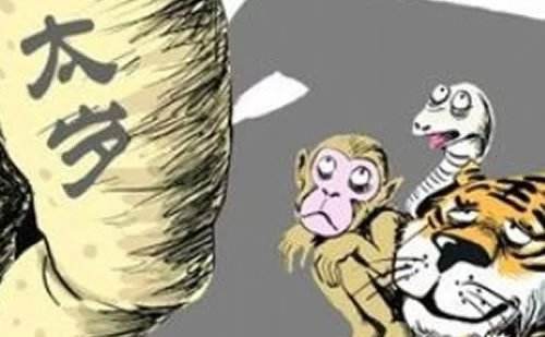 猪本命年应注意什么?本命年犯太岁如何避灾祈