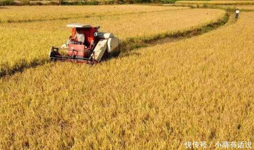 如果美国今年不出口粮食了,世界会发生什么?今