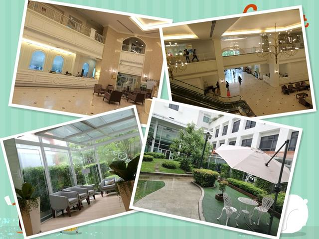 泰国BNH医院试管记,我经历了从害怕到石头落