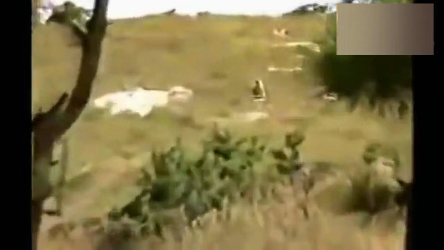 图为日媒拍摄下的画面