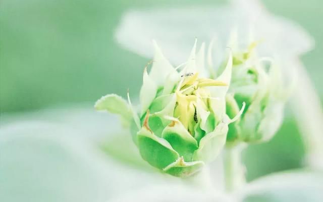 发个朋友圈写心情短语,适合发朋友圈的心情语