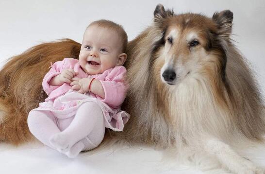 2018年狗宝宝农历几月出生最好,2018年狗宝宝