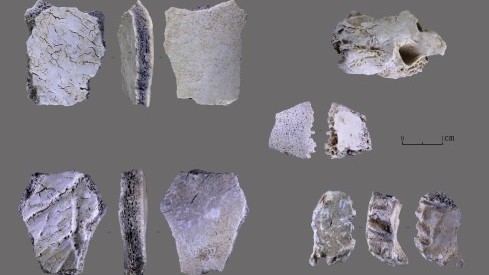 河南发现距今3.2万年人类头骨化石