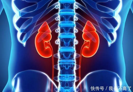 日常生活如何养肾才是健康的?中医有话要说-北