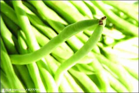 大暑农事:夏豇豆高产三要点 大暑农事:夏豇豆高产三要点