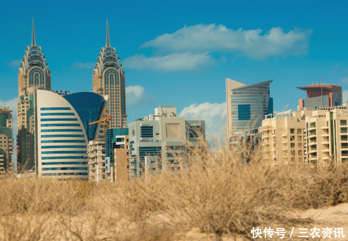 沙漠中再创奇迹,袁隆平团队迪拜沙漠海水稻获