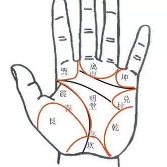 教你看手相:手掌八宫,预言你的生老病死!