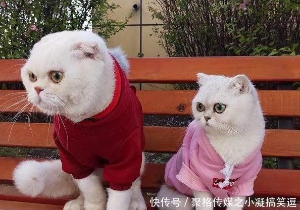 4大抖音超火网红:图2不是人,图3活该被封杀,图