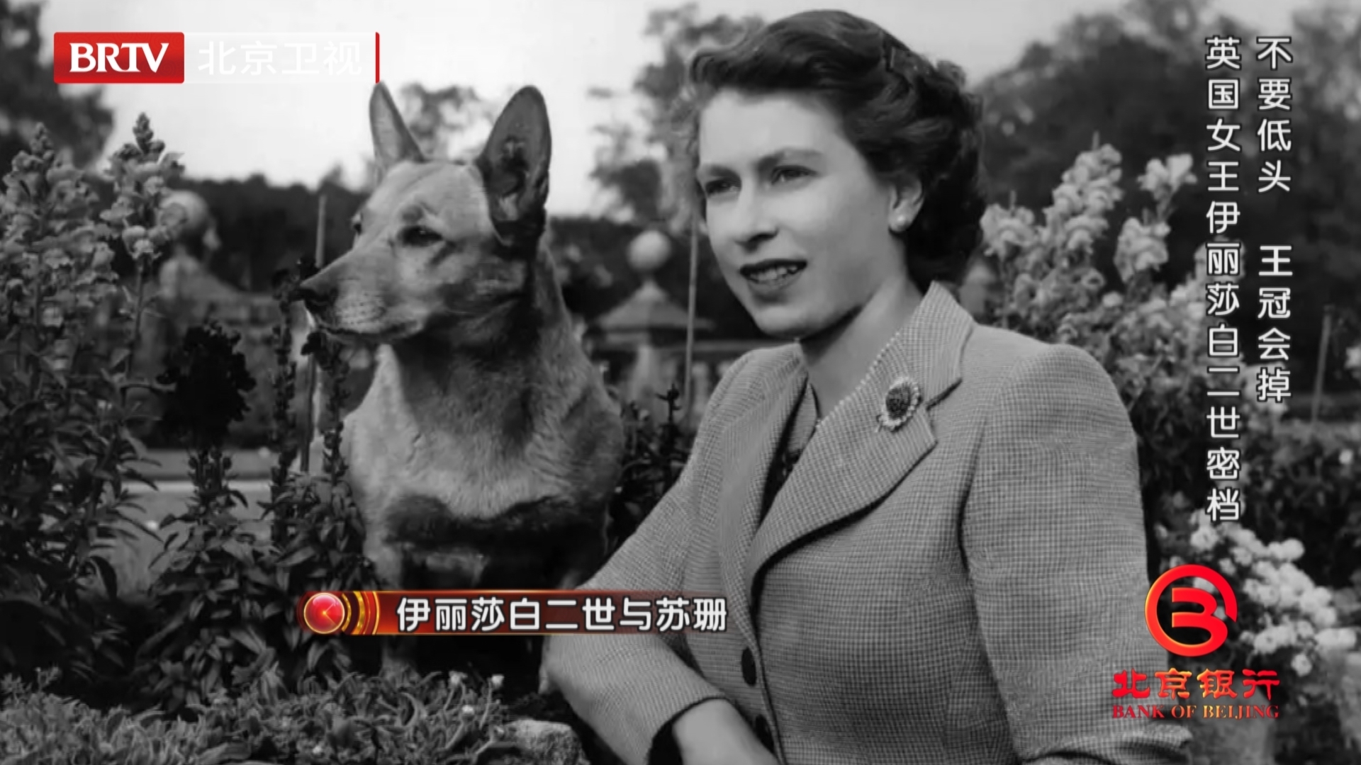 不要低头，王冠会掉——英国女王伊丽莎白二世密档_北京时间