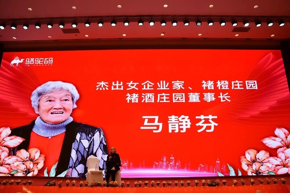 破局新冲突!叶茂中、马静芬蓉城论道