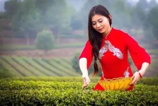 田园综合体成为乡村振兴战略重要一环!田园综